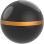 Black / Gold