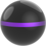 Black / Purple