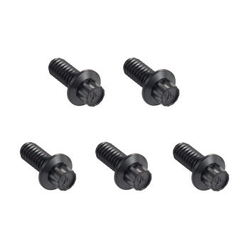 Black Forged Titanium Derby Cover Bolt Kit for Harley '07Up Touring & '14-'17 Softai Dyna