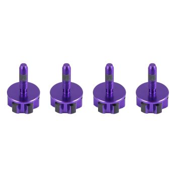Purple CNC Saddlebag Mounting Bolts