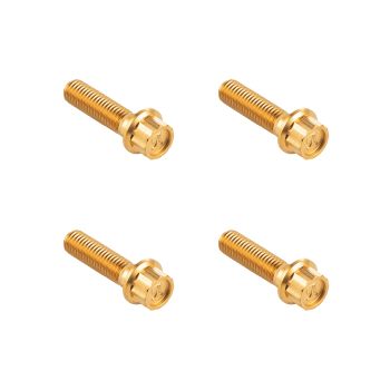 Forged Titanium Front Horizontal/ Axial Caliper Bolt Kit for Harley Touring, Softail and Dyna