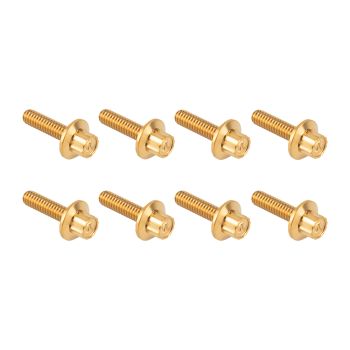 Forged Titanium Trap Door Bolt Kit for Harley M8 Touring & Softail