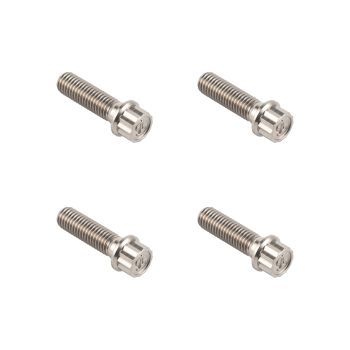 Silver Forged Titanium Front Horizontal/ Axial Caliper Bolt Kit for Harley Touring, Softail and Dyna