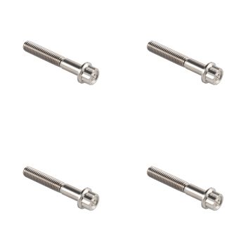 Silver Forged Titanium Front Vertical Caliper Bolt Kit for Harley 2023.5-Up CVO Touring