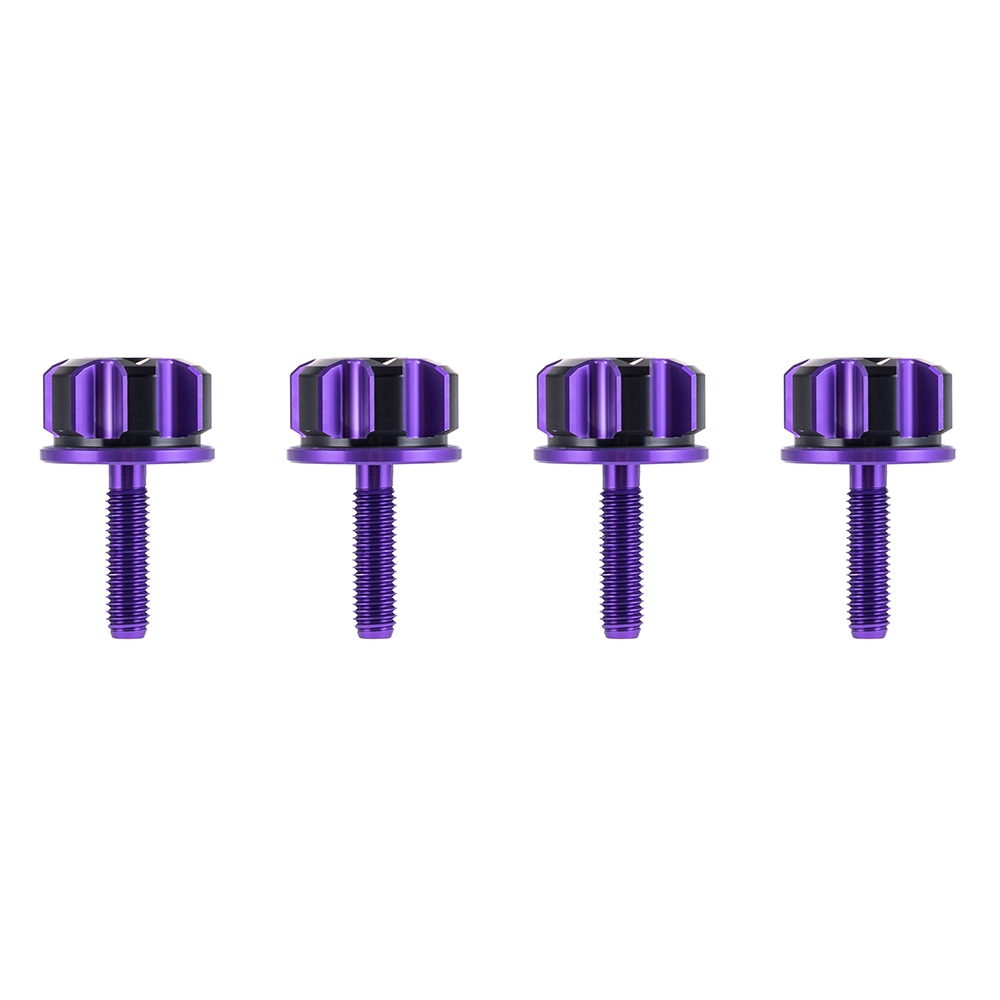 Axion CNC-Machined Aluminum Saddlebag Security Knobs